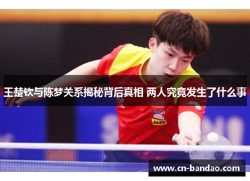 王楚钦与陈梦关系揭秘背后真相 两人究竟发生了什么事