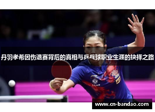 丹羽孝希因伤退赛背后的真相与乒乓球职业生涯的抉择之路