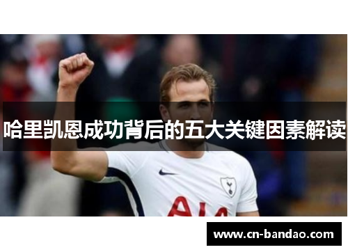 哈里凯恩成功背后的五大关键因素解读