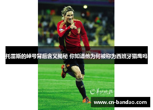 托雷斯的绰号背后含义揭秘 你知道他为何被称为西班牙猎鹰吗